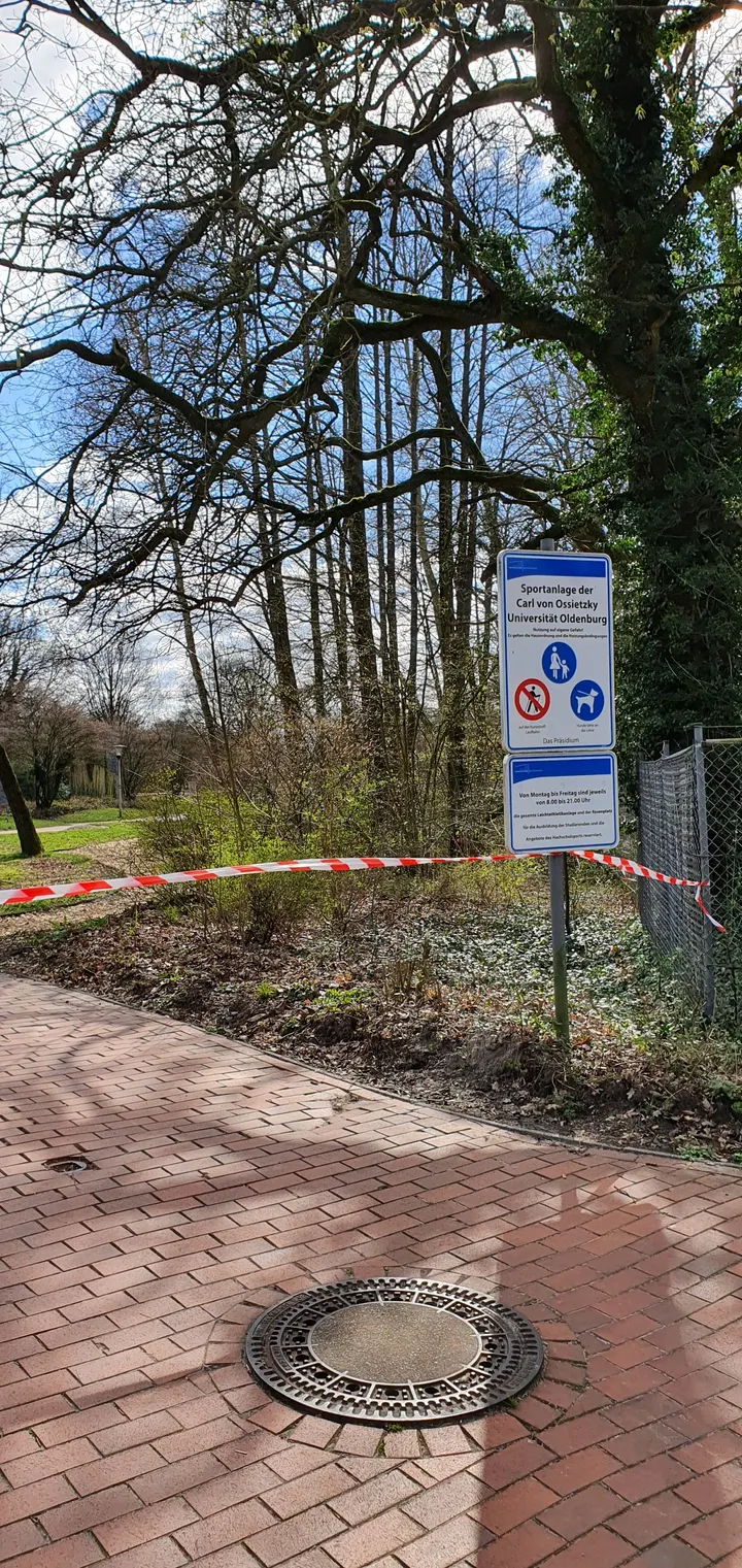 Calisthenics Park — calisthenics-studio in Oldenburg — 3