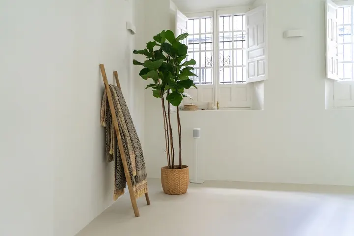 Shalala Yoga Studio — yoga-studio en Sevilla — 3