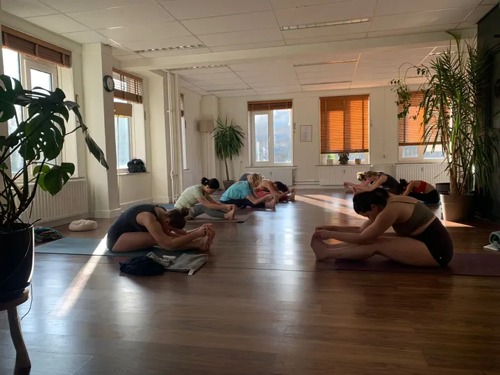 Ashtanga Yoga Rotterdam Yoga School — Yoga in Centrum, Rotterdam