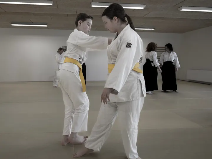 Aikido Aikikai Odense — kampsport-studio i Hjallese Hestehave, Odense — 2