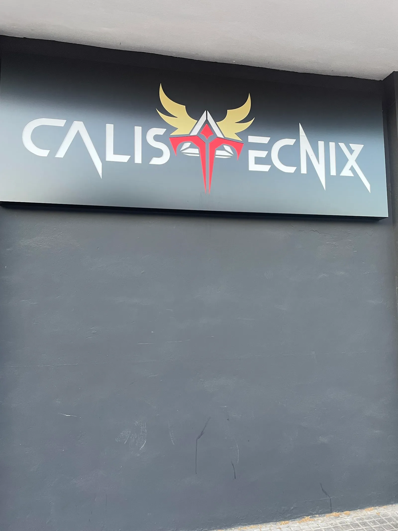 Calistecnix — entrenamiento personal-studio en la Vallesa, el Port de Sagunt — 3