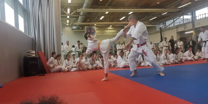 Blagnac Arts Martiaux — arts martiaux-studio à Blagnac, Toulouse — 2
