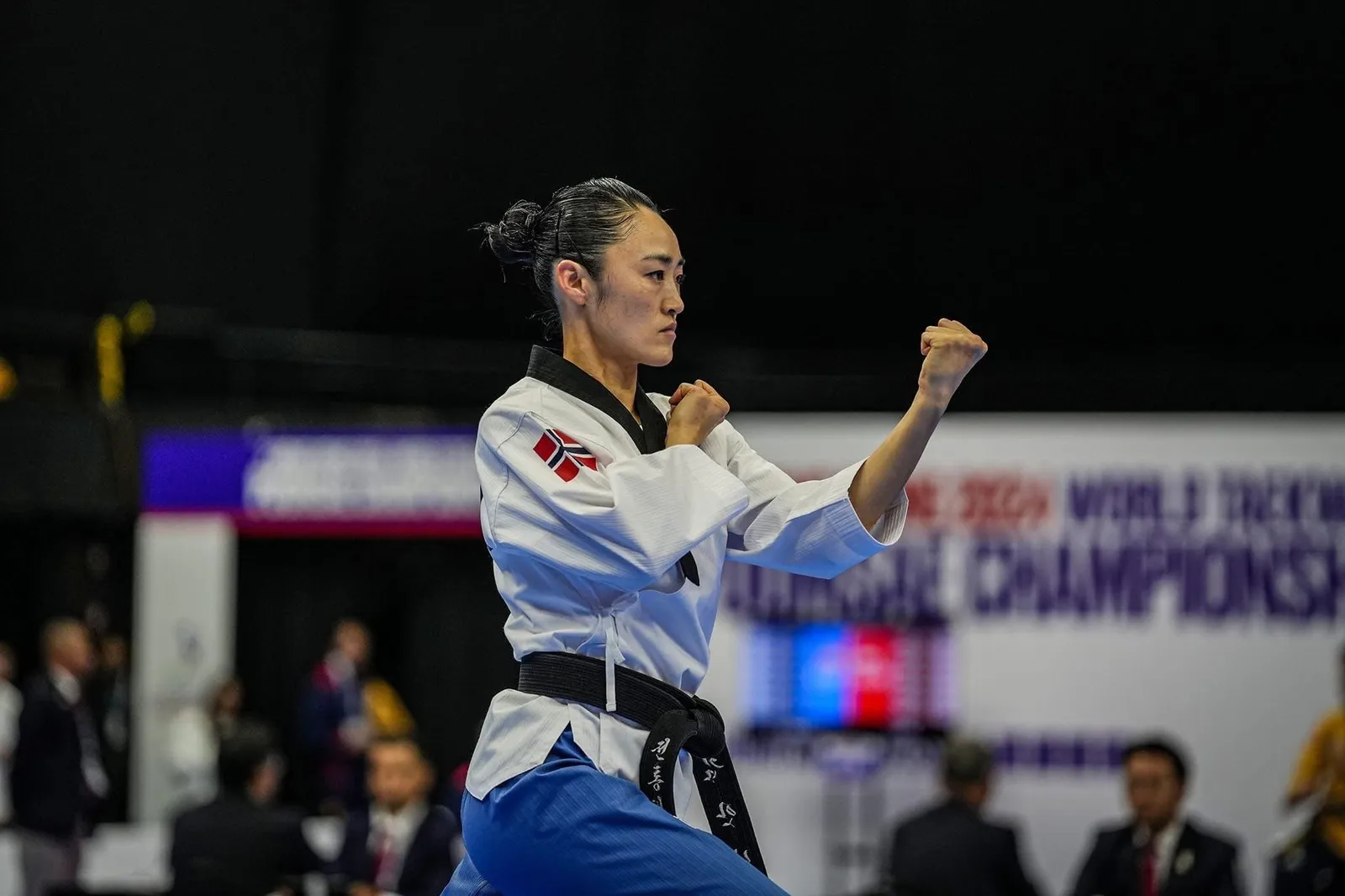 Ringerike Taekwondo Klubb — kampsport-studio i Hønefoss — bild 5