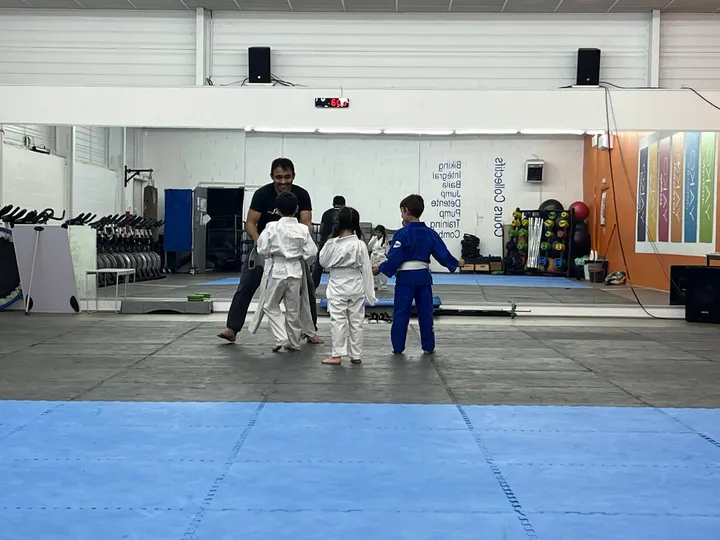 Académie Raoni jiu-jitsu Tours Nord — JJB à Le Grand Sapaillé, Tours