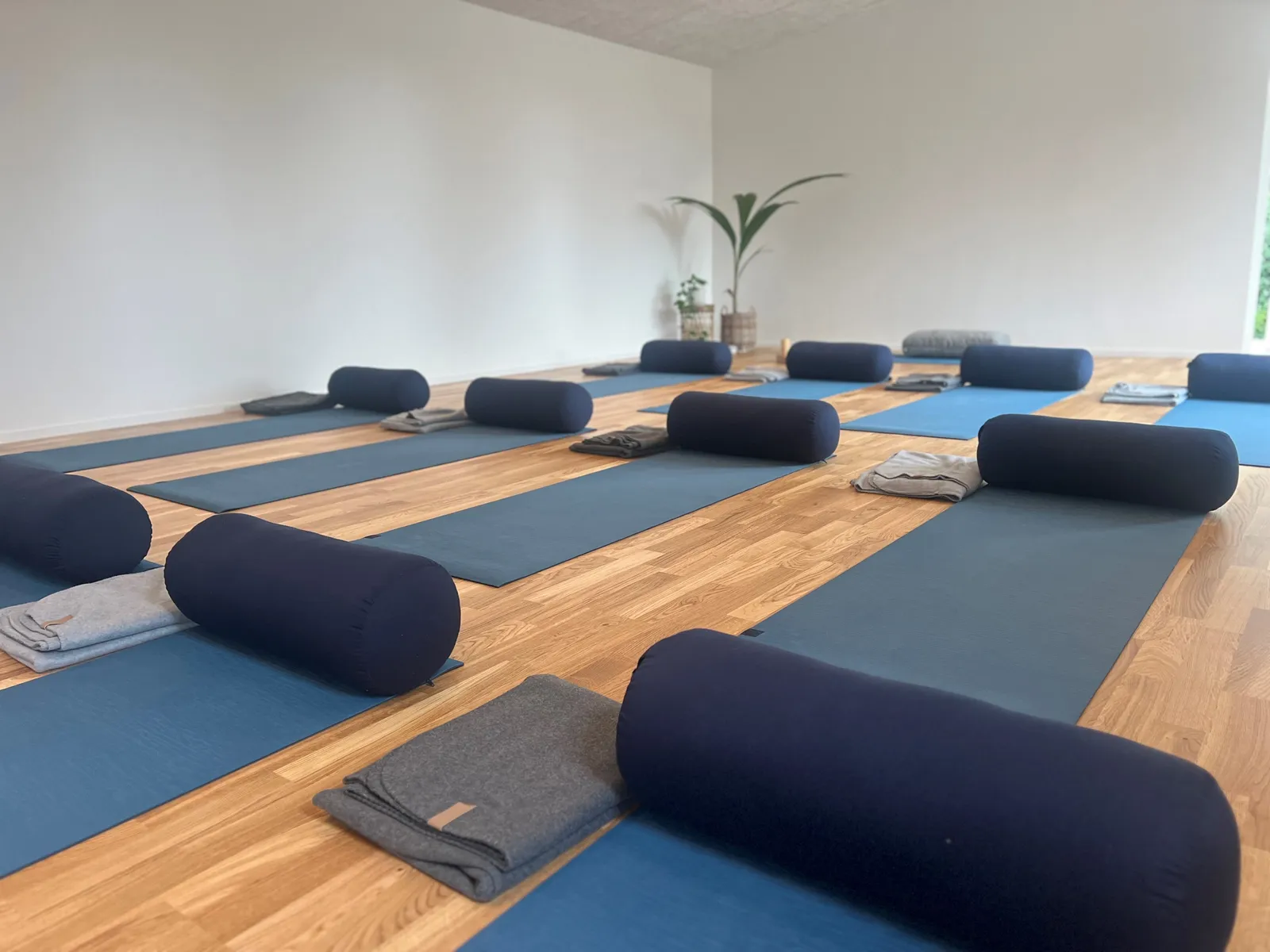 YOGALY - Yogastudie i Skærbæk — yoga-studio i Skærbæk — bild 3