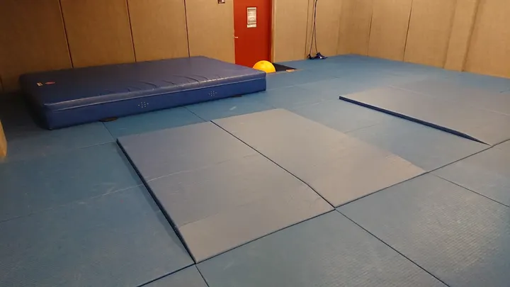 Sergio Mansilla Garcia Judo — kampsport-studio i Økern, Oslo — 2