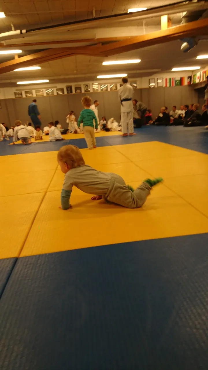 Sergio Mansilla Garcia Judo — kampsport-studio i Oslo — 3