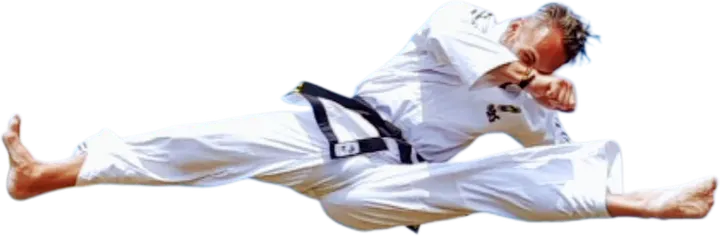 Taekwon-Do Chong Do Kwan — vechtsport-studio in De Borne 1, Schijndel — 2