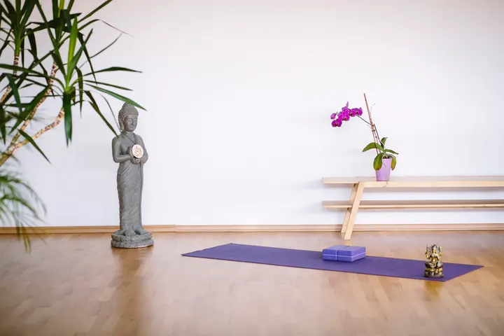 Yoga Vidya Aachen Euregio — yoga-studio in Donnerberg, Stolberg — 2