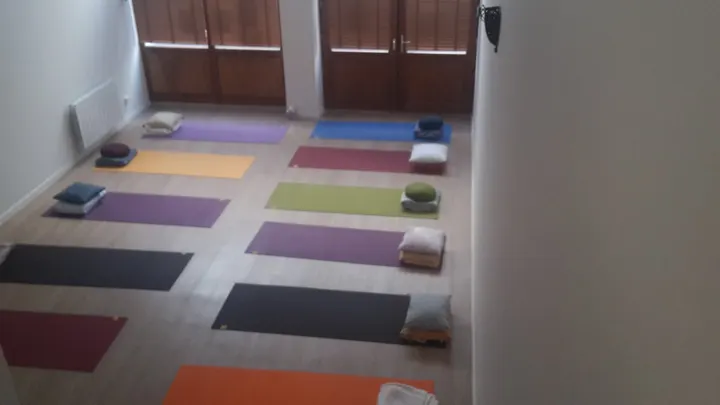 Dharma - Infos Yoga — yoga-studio aux Brotteaux, Lyon — 2