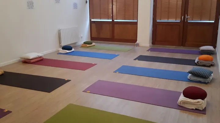 Dharma - Infos Yoga — yoga-studio aux Brotteaux, Lyon — 3