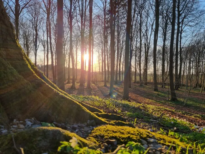 Reiki Healing Copenhagen — wellness-studio i Frederiksberg