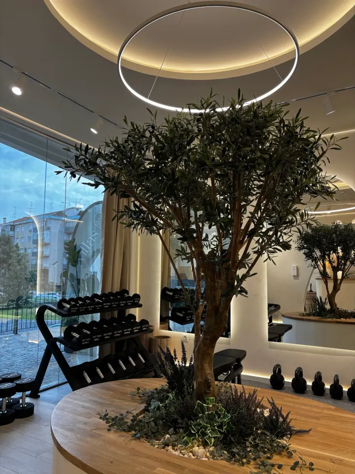 Villas Wellness Studio — Bem-estar em Quinta de São Caetano, Viseu