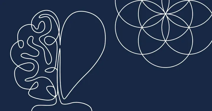 Dansk Center for Mindfulness Universitet — meditation-studio i Aarhus Ø, Aarhus — 3