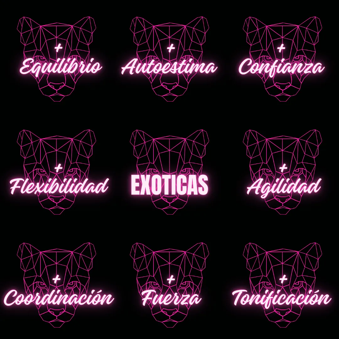 Exoticas pole dance — estudio de fitness-studio en El Vendrell — 3