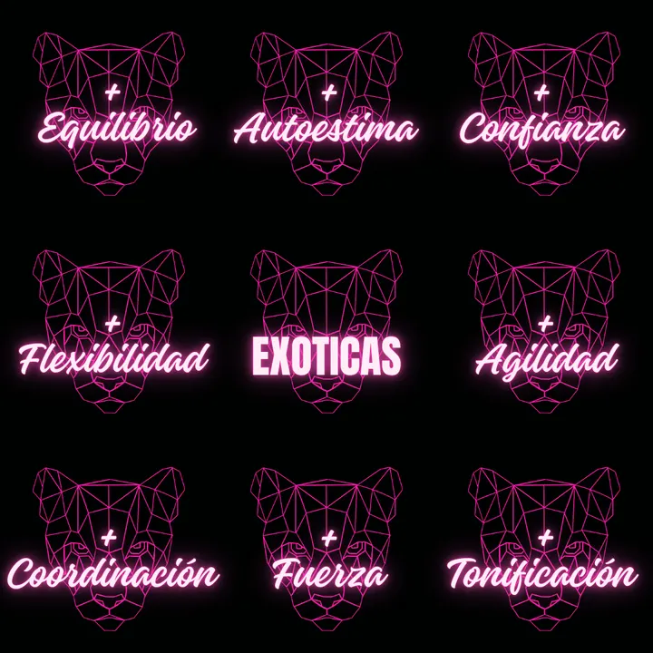 Exoticas pole dance — estudio de fitness-studio en El Vendrell — 3