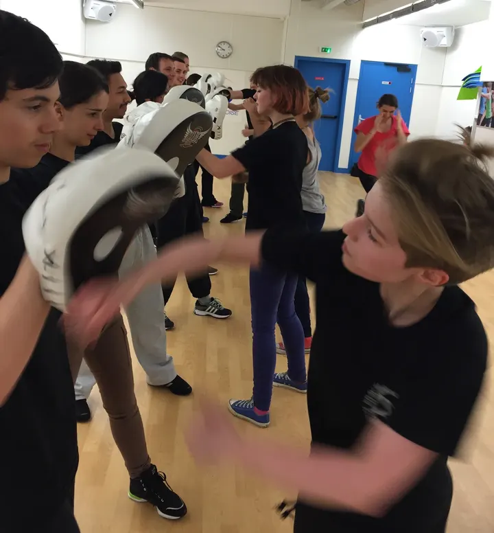 Krav Maga Auto Defense — arts martiaux-studio à Silly-Galliéni, Boulogne-Billancourt — 2