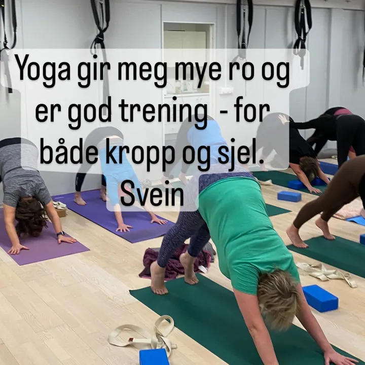 Yoga Yoga AS — yoga-studio i Stavanger — 3