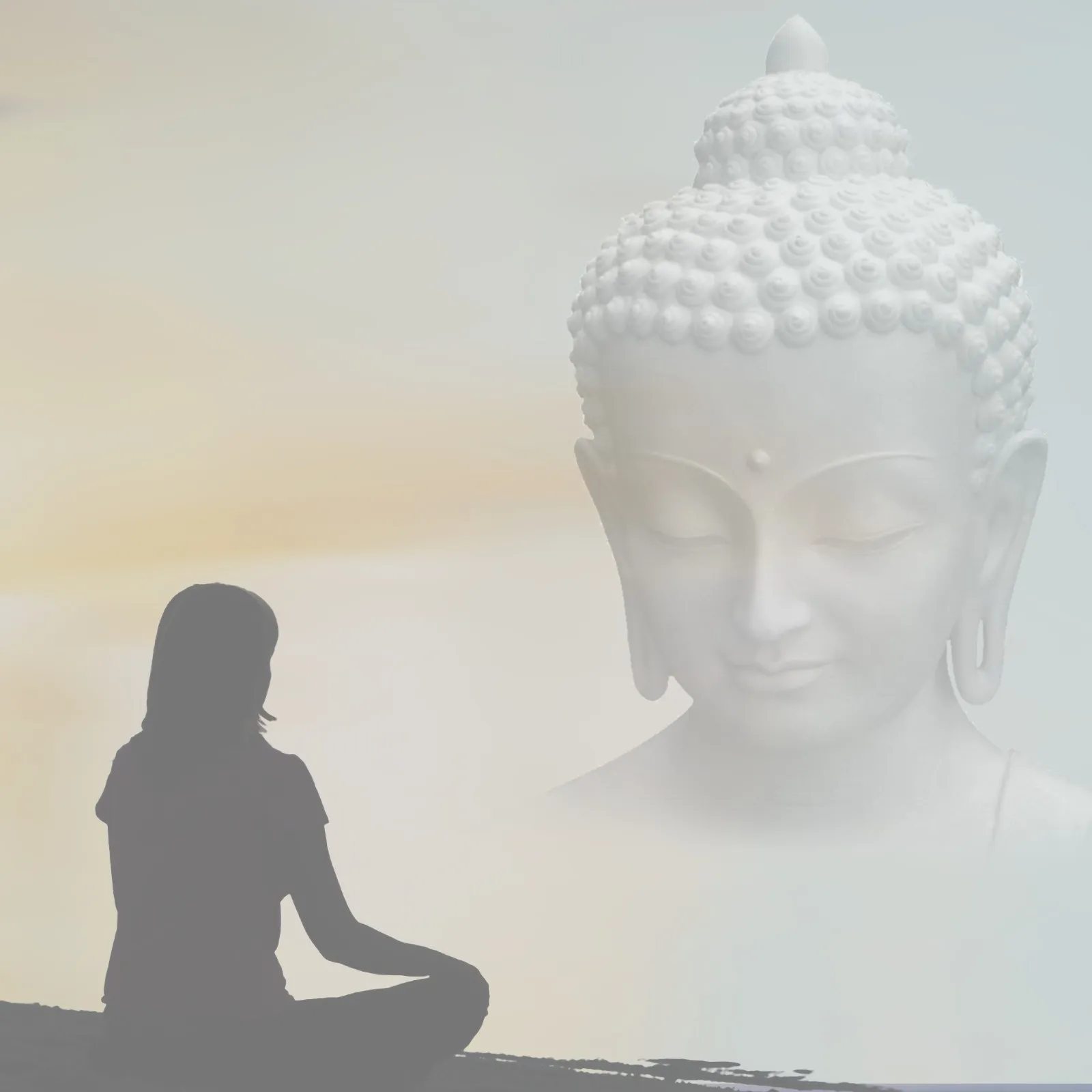 Kadampa Meditationszentrum @ Studio56 Dresden — meditation-studio i Dresden — 2