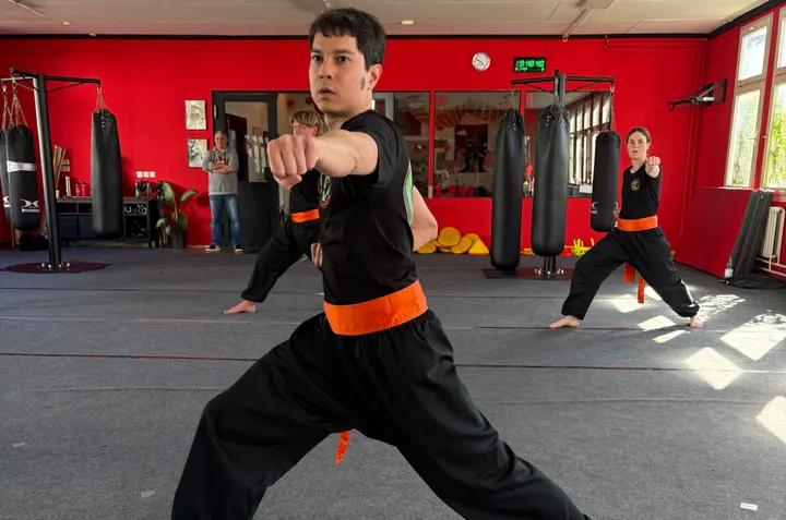 Green Dragon Shaolin Kung Fu — Martial Arts in Obere Mühle, Calw