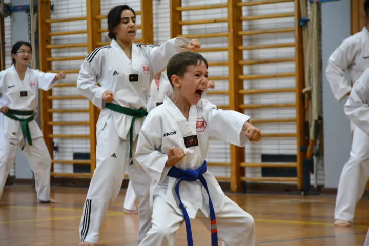Effect Defense — Martial Arts in Gesundbrunnen, Berlin