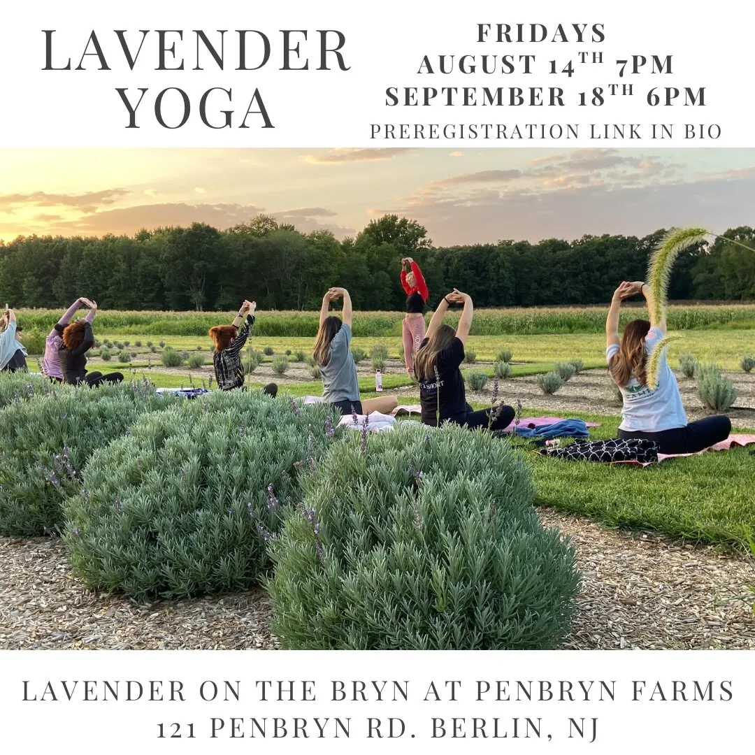 Lavender Koi Yoga — yoga-studio i Berlin — 5