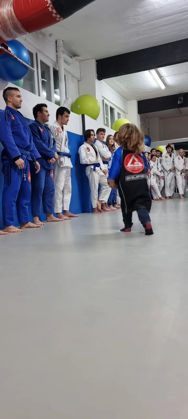 Gracie Barra Donostia San Sebastián — artes marciales-studio en San Sebastián — 5