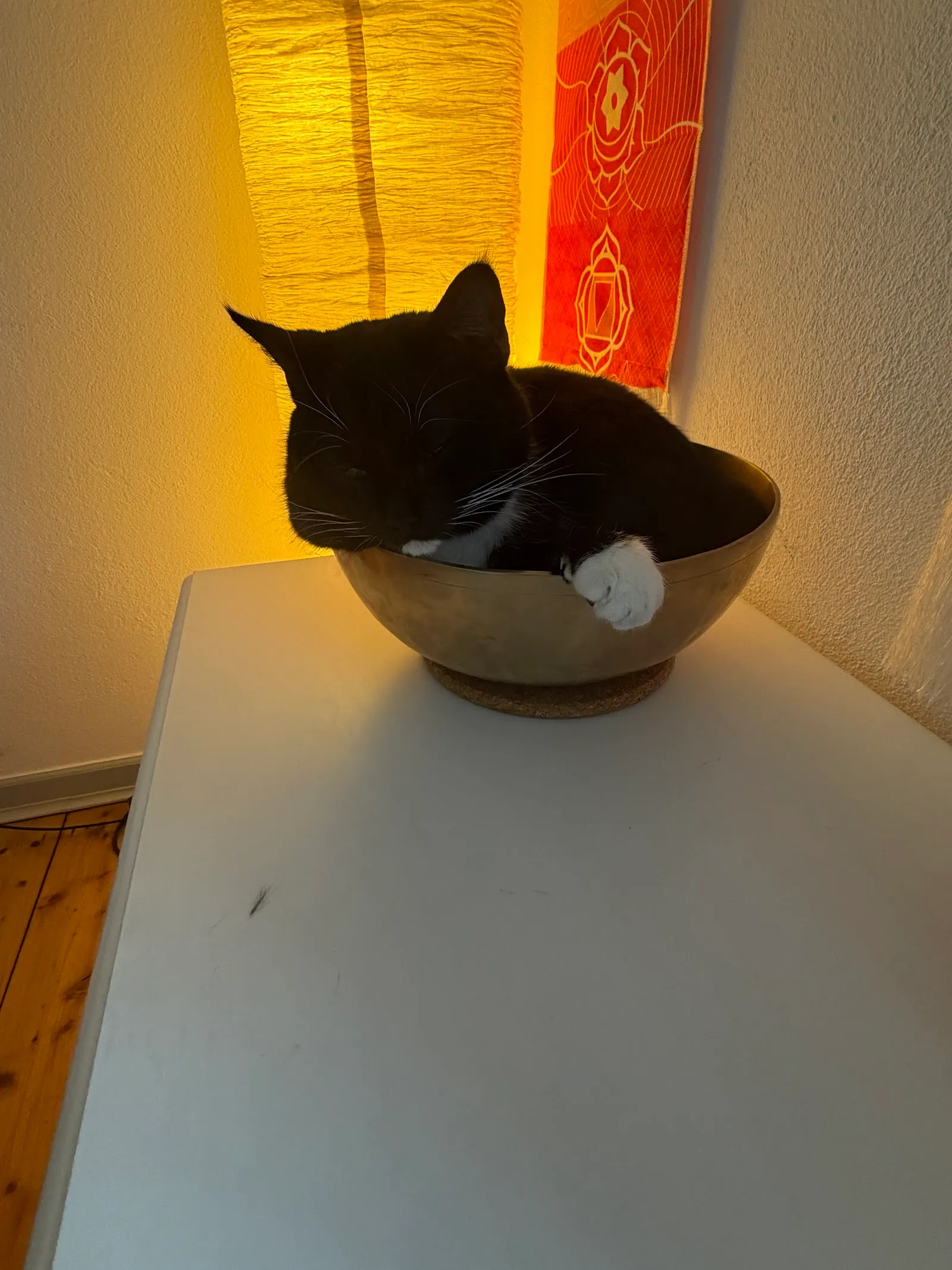 Reiki Dortmund — meditation-studio in Hörde, Dortmund — 2