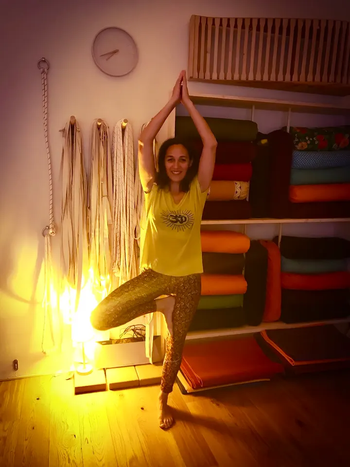 Centre de Yoga Iyengar de Perpignan — yoga-studio à Perpignan — 5