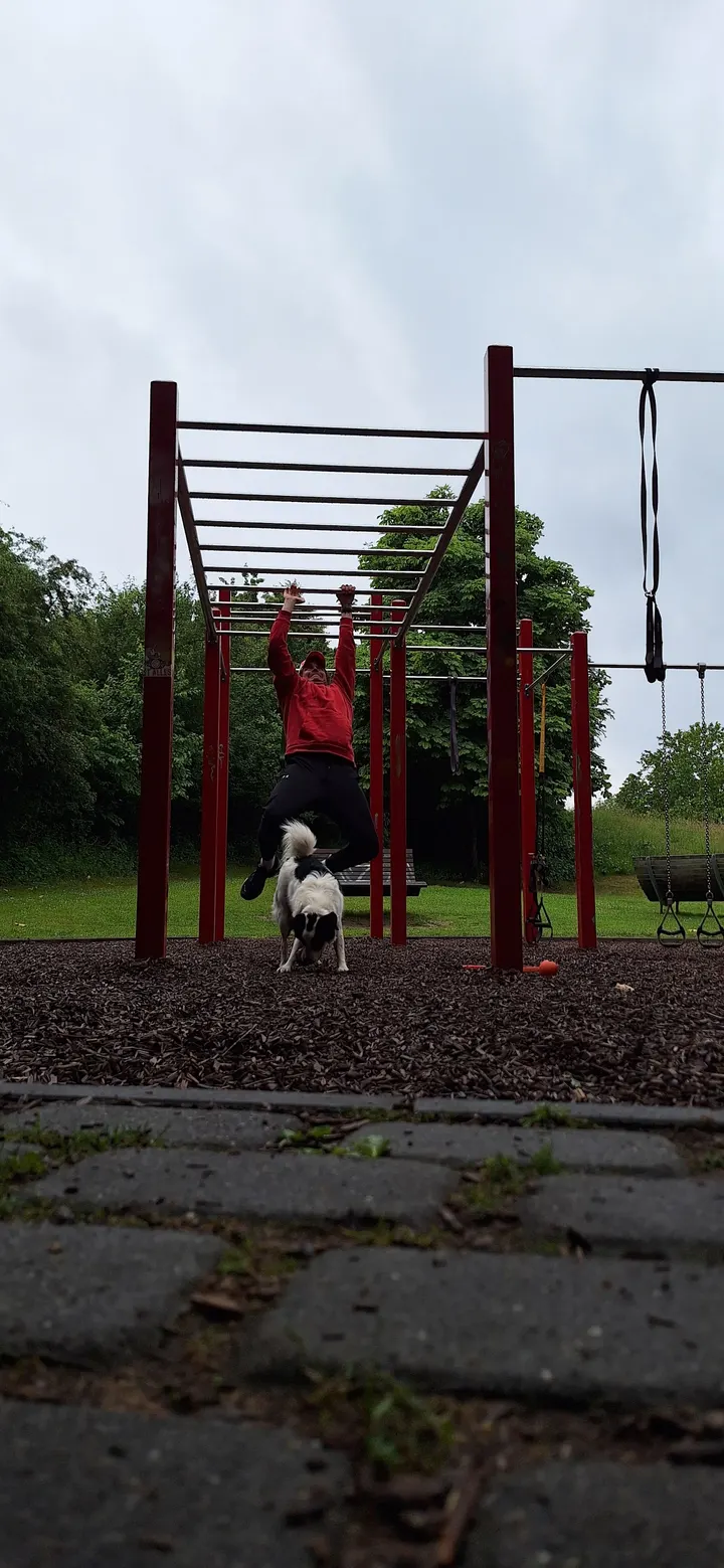 Calisthenics Gym - Nachbarschaftspark Düsseldorf Eller — calisthenics-studio in Düsseldorf — 4