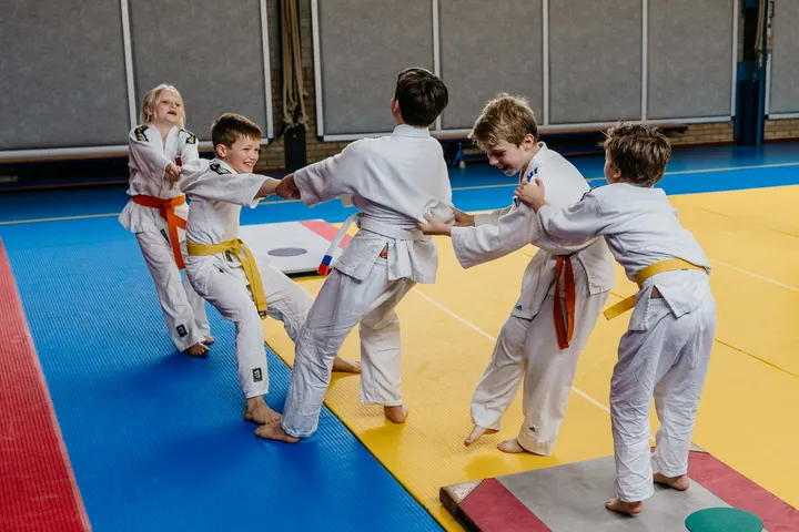 Judo Club Zeist — vechtsport-studio in Zeist — 3
