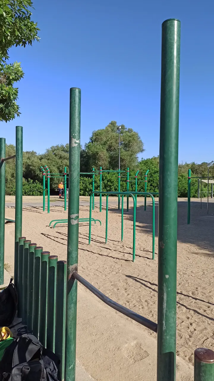 Calistenia Alamillo — calisthenics-studio en Triana, Sevilla — 3