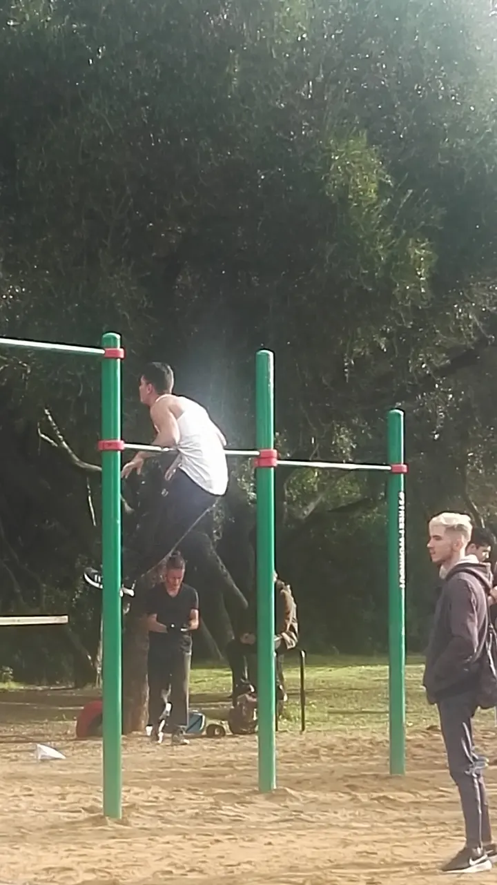 Calistenia Alamillo — calisthenics-studio en Sevilla — 5