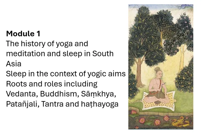 Khadine Morcom Yoga Tree of Life — yoga-studio in Aldrington, Brighton and Hove — 2
