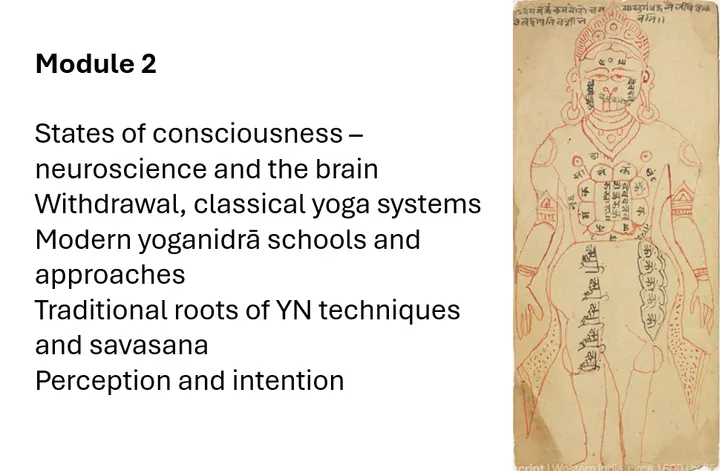 Khadine Morcom Yoga Tree of Life — yoga-studio in Aldrington, Brighton and Hove — 3