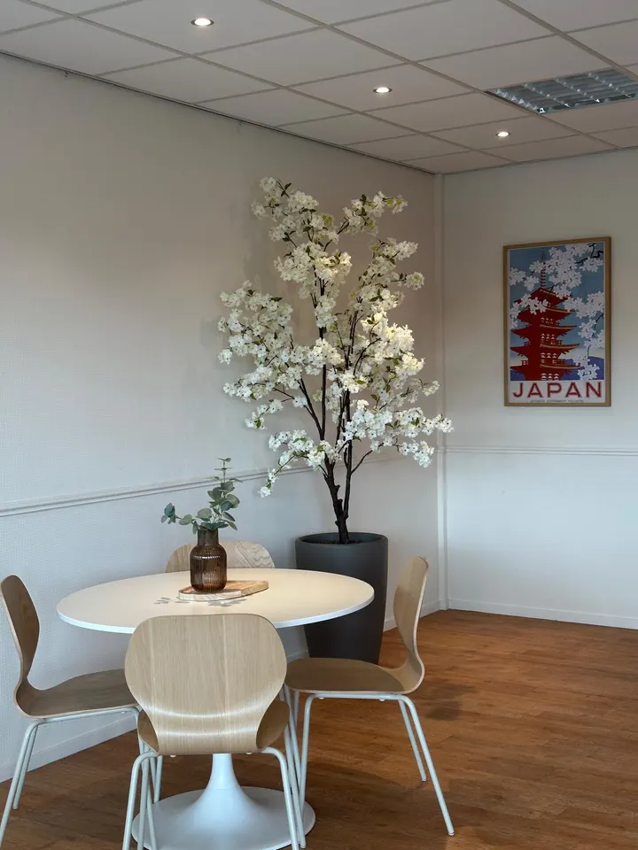 Jujutsu Raifu — bjj-studio in Almelo — 2