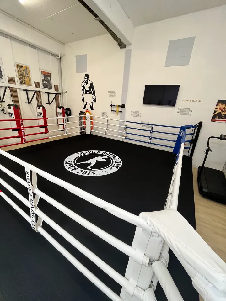 Shape and Boxing Club — boxe-studio à Saint-Cyr-en-Val — 3