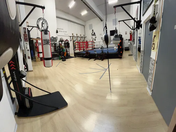 Shape and Boxing Club — Boxe à Saint-Cyr-en-Val