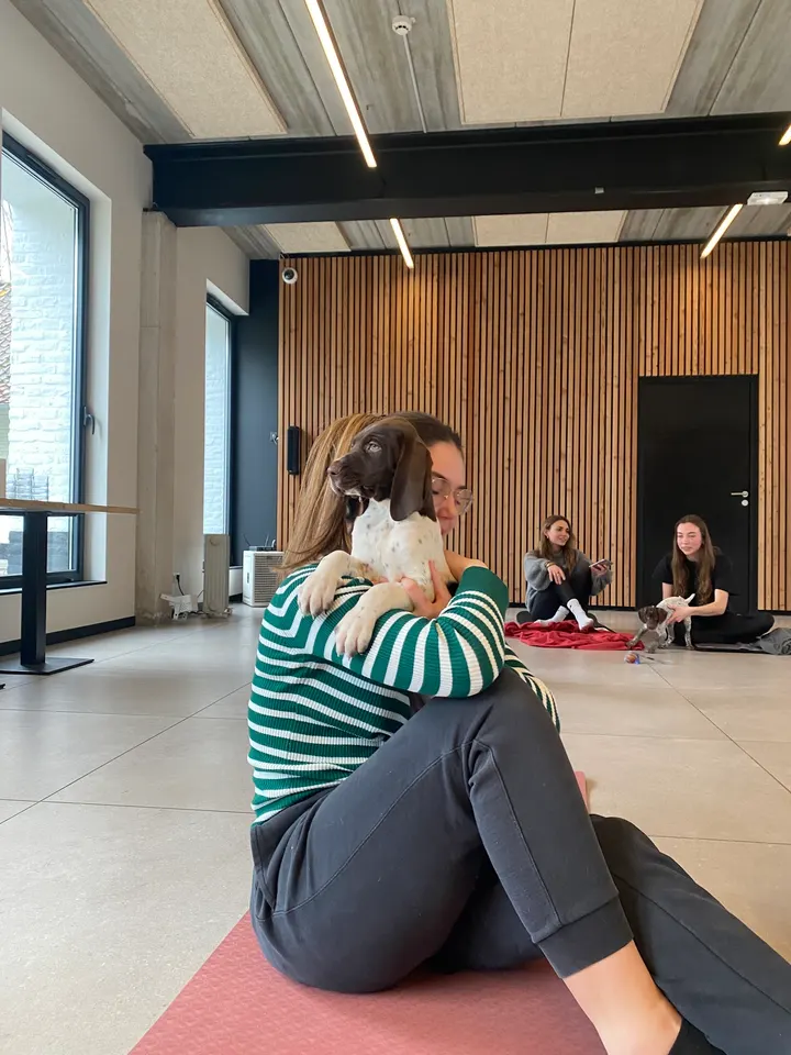 Puppy Yoga Lille — yoga-studio à Lompret — 3