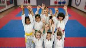 Coedpi — artes marciales-studio en Galapagar — 2