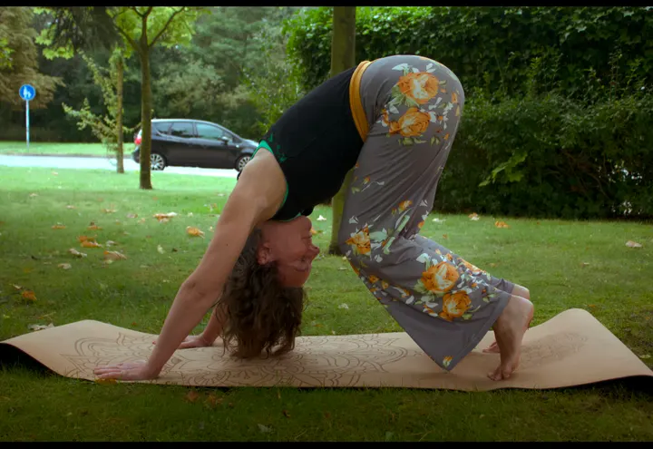 Stefanie Krohn Yoga Schmarl / Lütten- Klein — yoga-studio in Rostock — 5