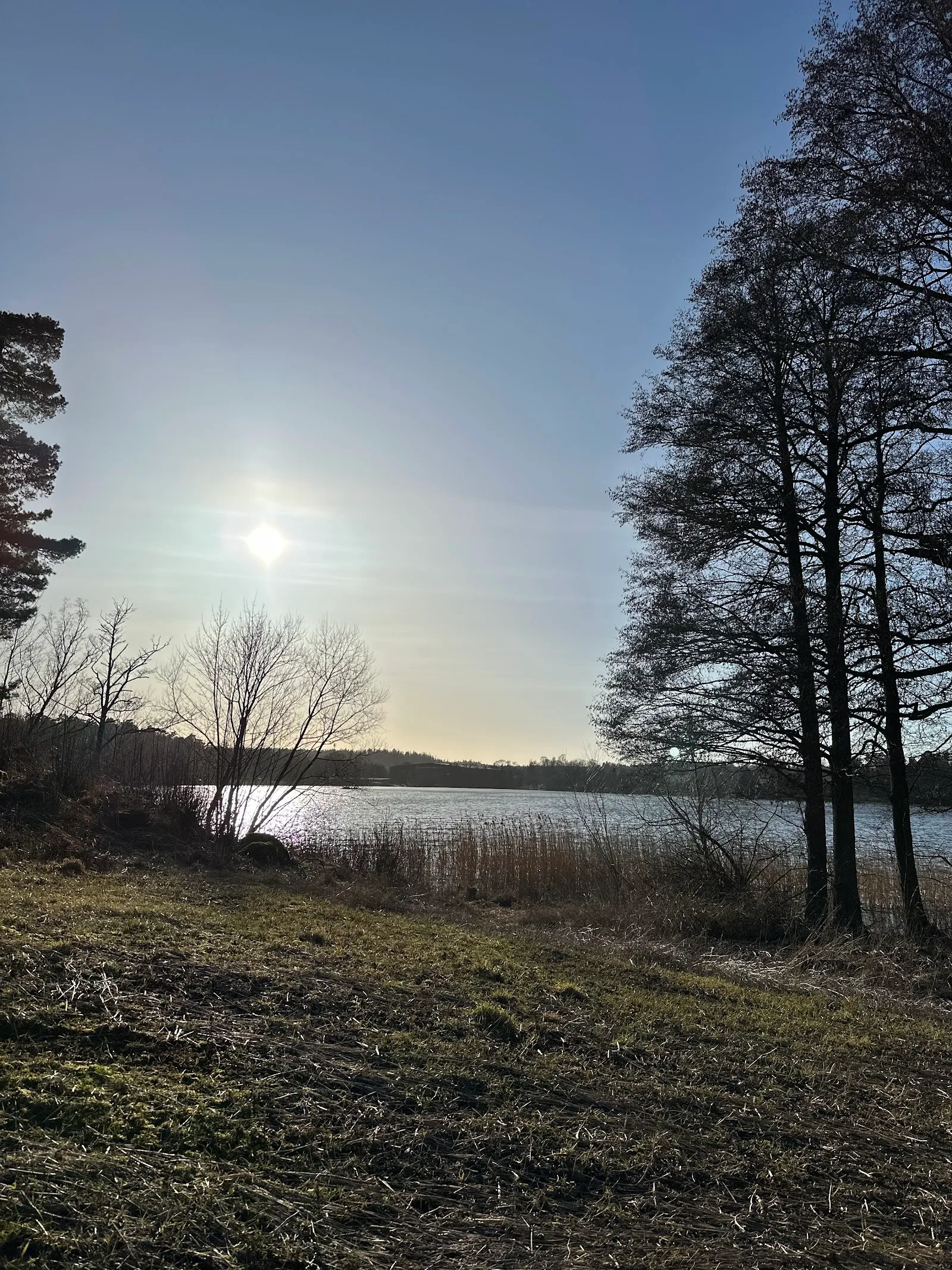 Törnskogsklippan, climbing crag, parking — klättring-studio i Norrviken, Sollentuna — bild 2