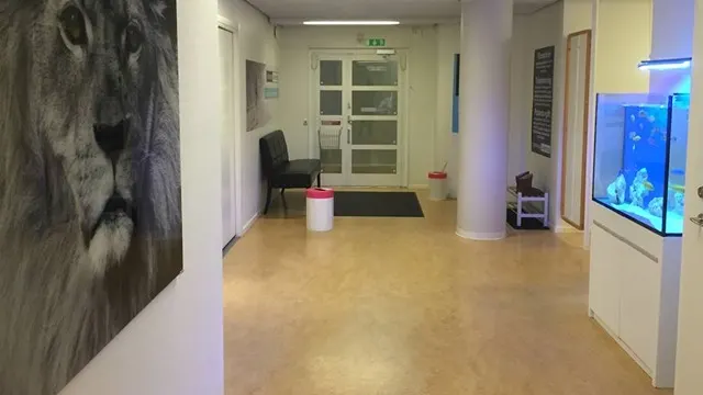 Fysioterapi Sollentuna — pt-studio i Sollentuna, Stockholm — 3