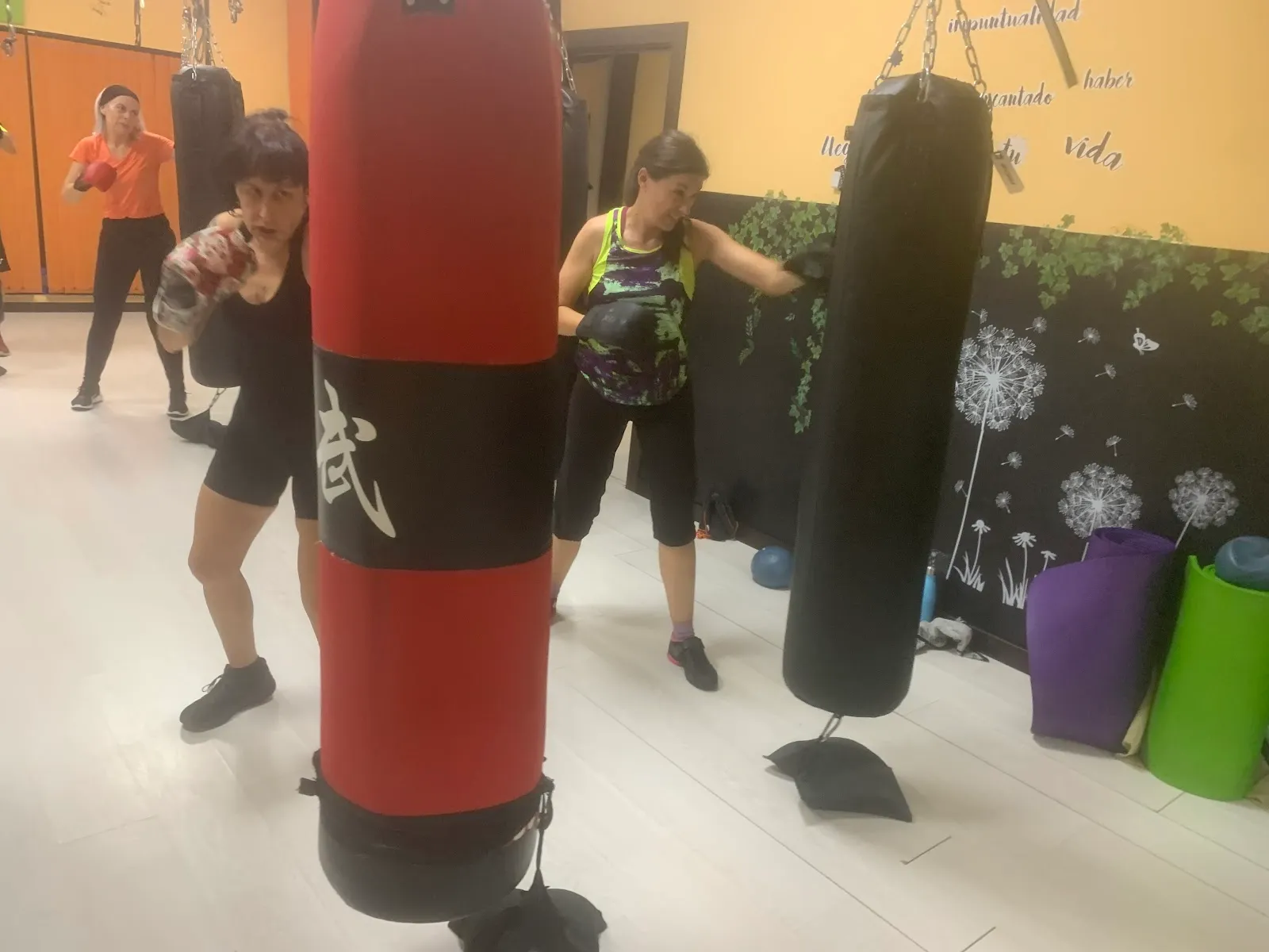 Pilates Aereo Salamanca — pilates-studio en Las Luminarias, Santa Marta de Tormes — 2
