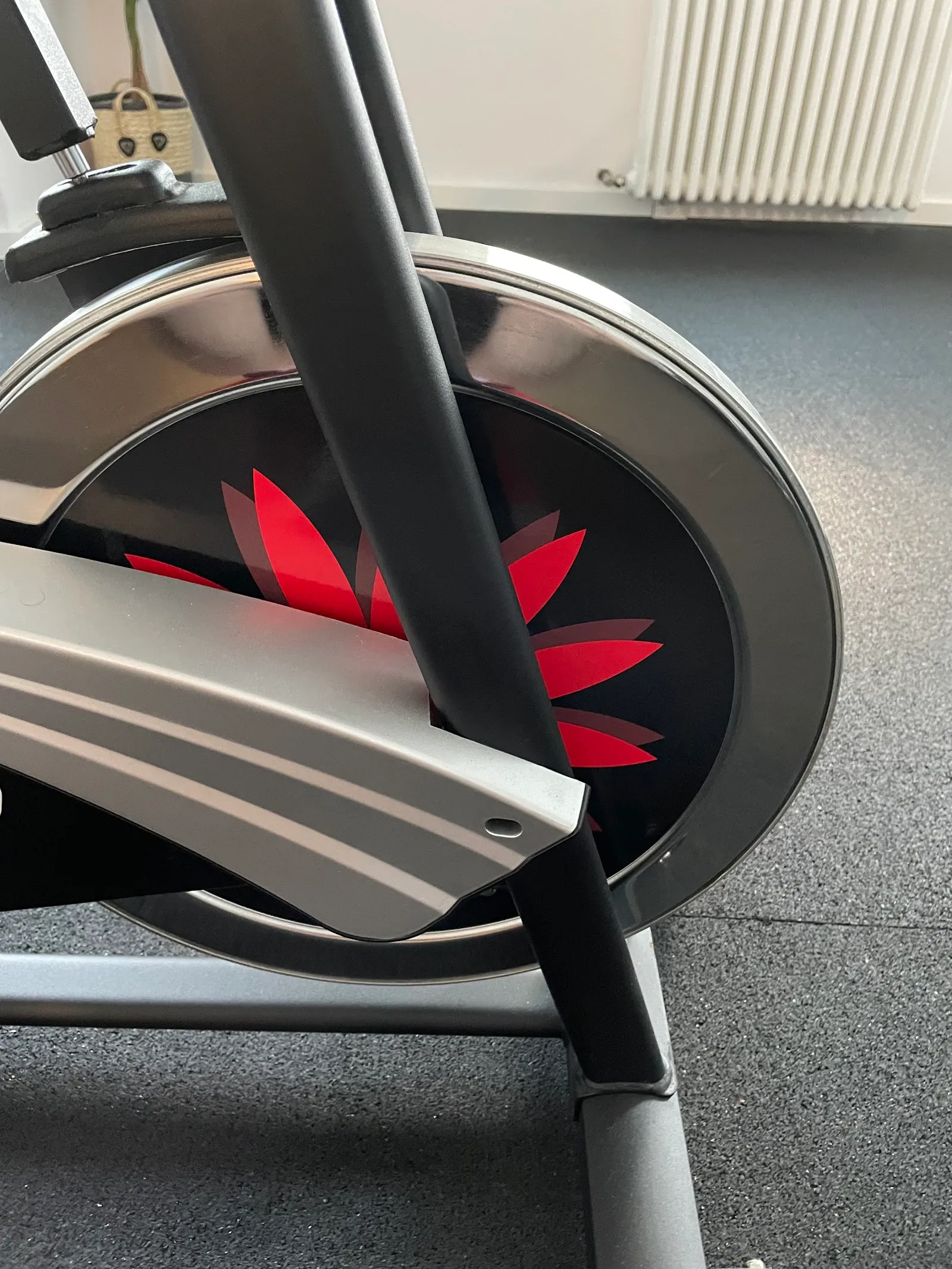 EMS Phönix — krafttraining-studio in Trier — 4