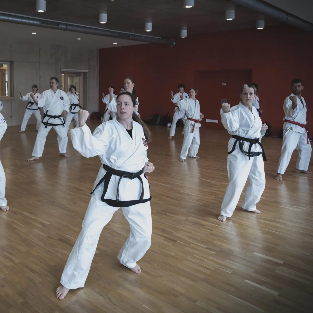 International Taekwon-Do Black Belt Center — kampsport-studio i Nürnberg — 3