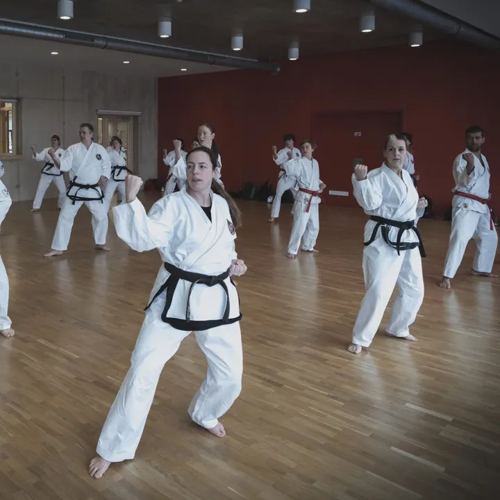 International Taekwon-Do Black Belt Center — kampfsport-studio in Nürnberg — 3