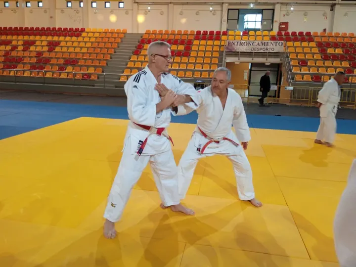 Associação De Judo Do Distrito De Santarém — Artes marciais em Santa Maria, Torres Novas