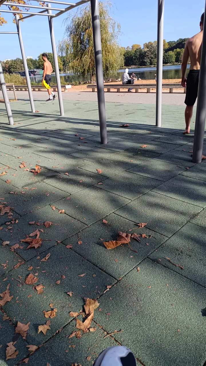 Calisthenics Park am Wöhrder See — calisthenics-studio in Nürnberg — 5