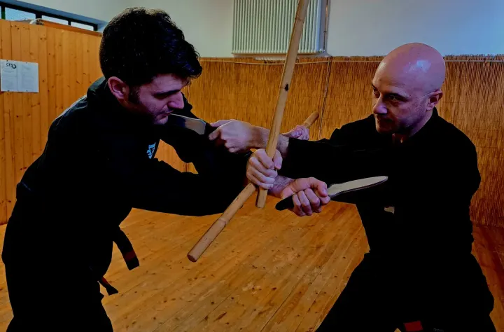 Lóng Quán Arti Marziali CFS — arti marziali-studio a Santa Viola, Bologna — 3